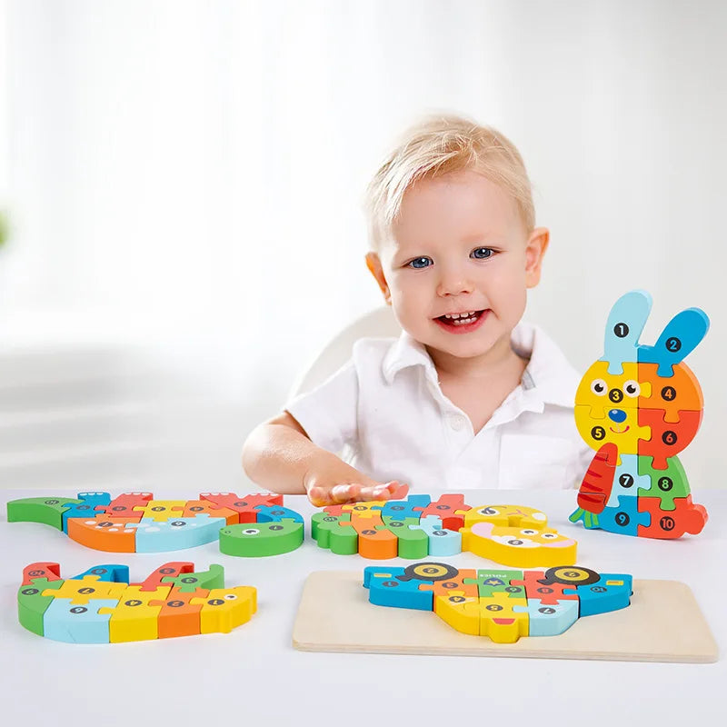 3D Stereoscopic Montessori Wooden Puzzle Toy